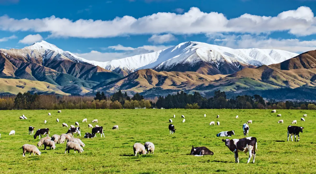 New Zealand