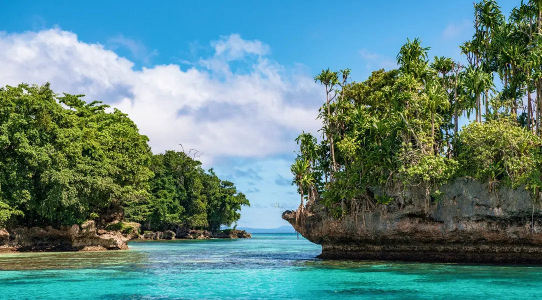 Papua New Guinea (Niugini)