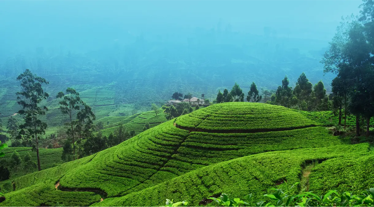 Sri Lanka