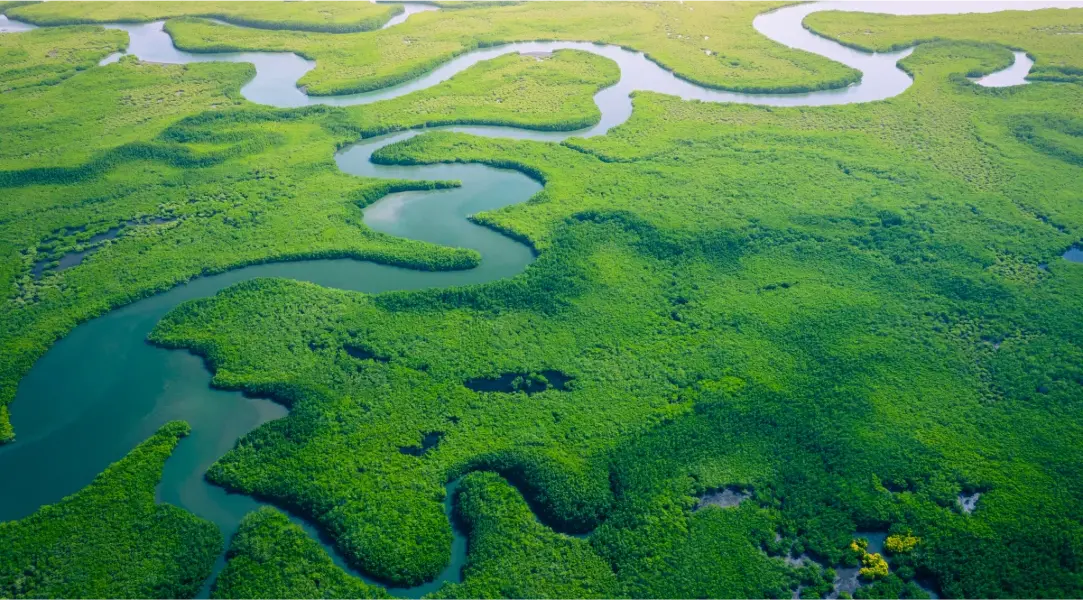 Gambia