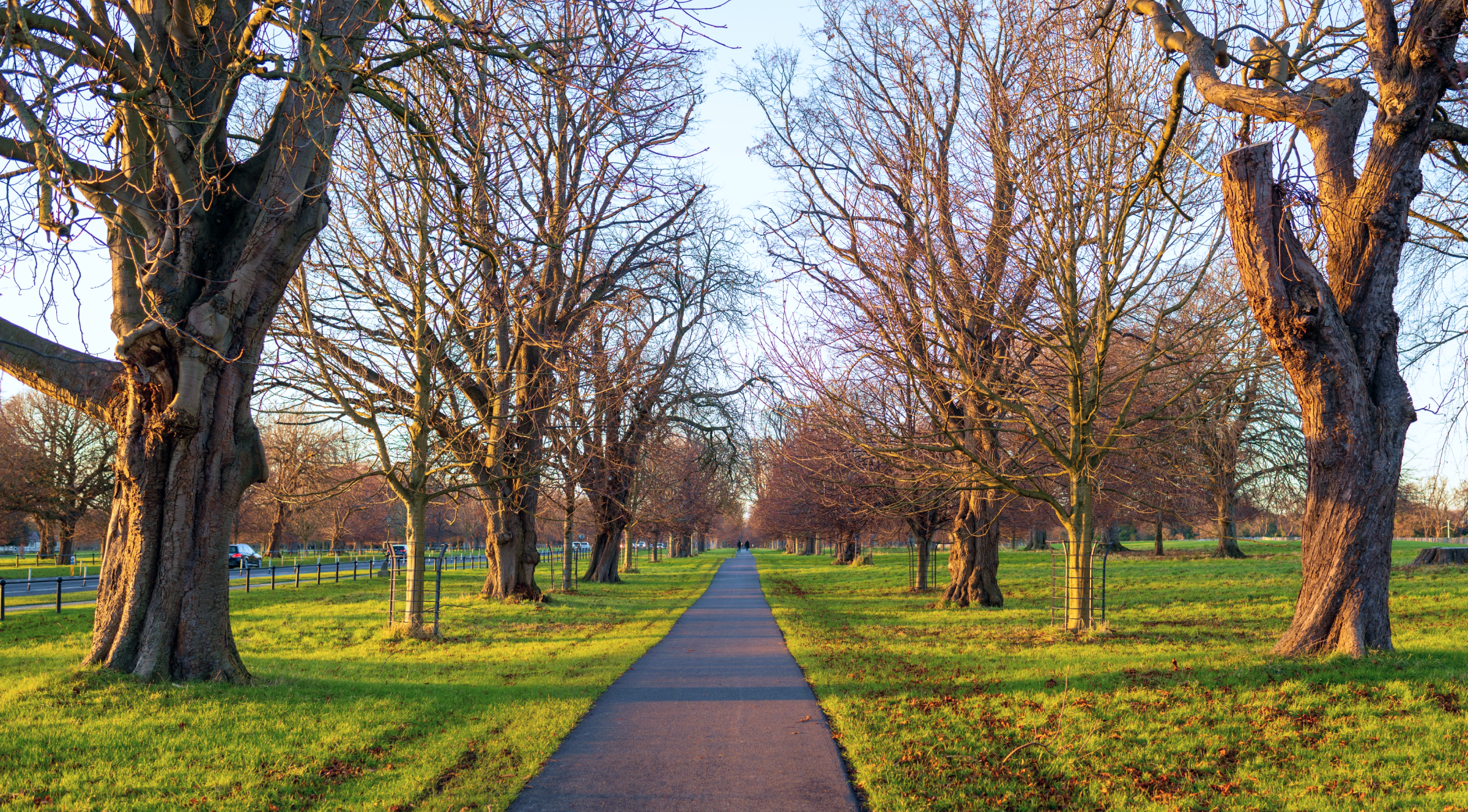 Phoenix Park