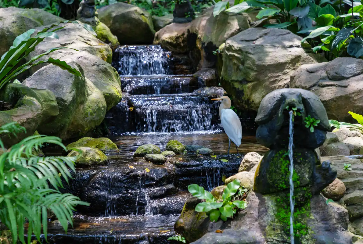 Kuala Lumpur Bird Park