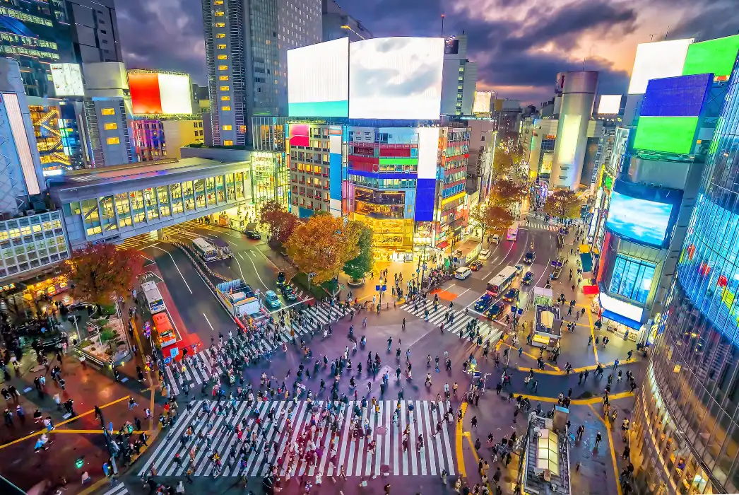 Shibuya Crossing