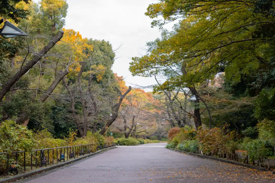 Ueno Park