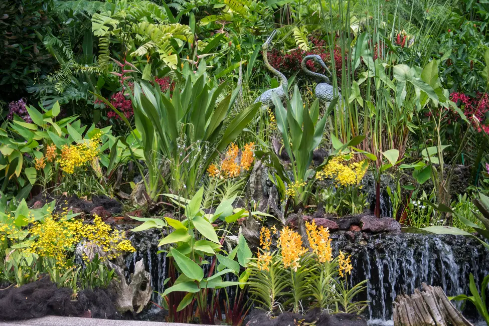 Singapore Botanic Gardens